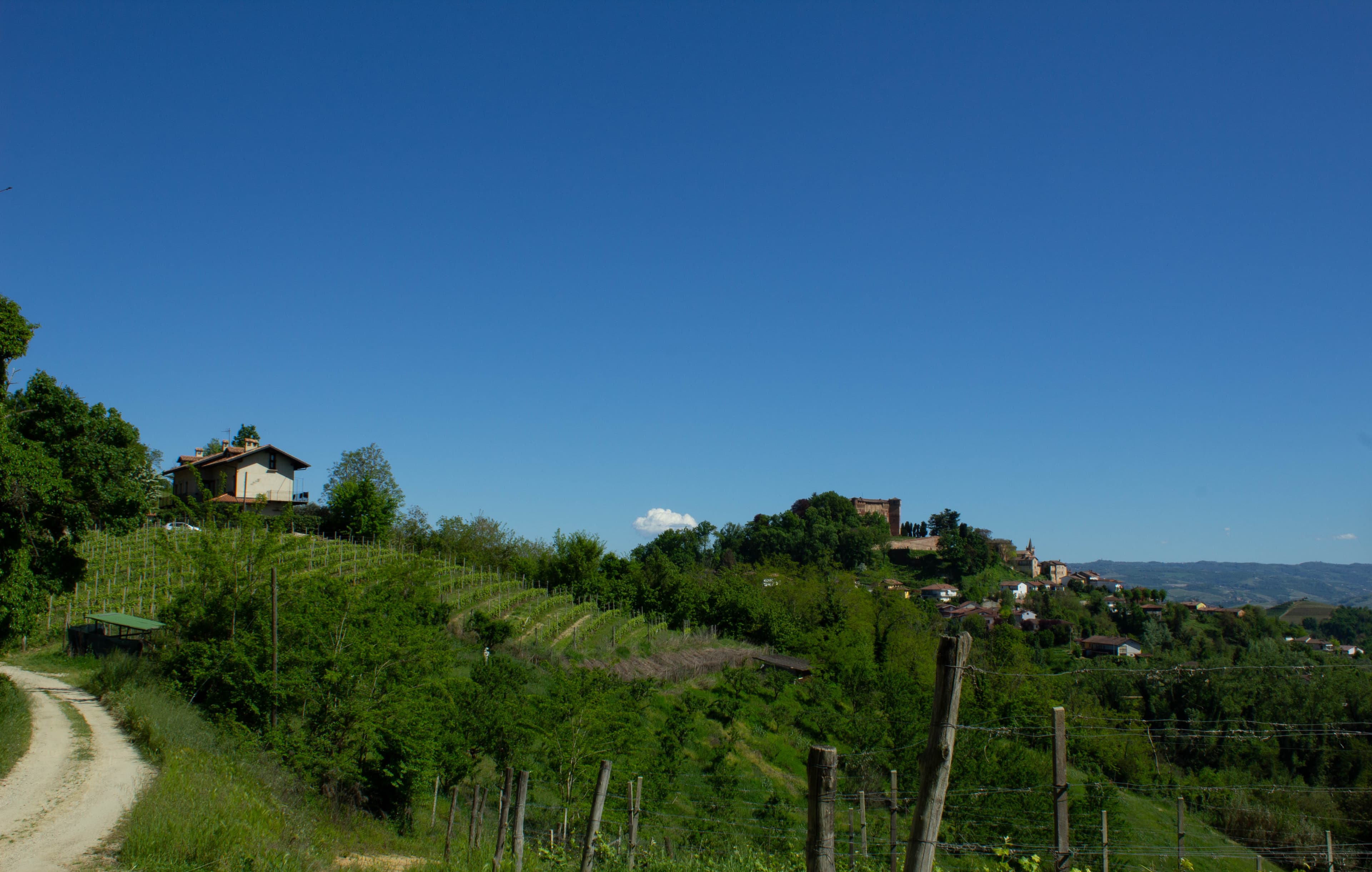 Gallery image 21