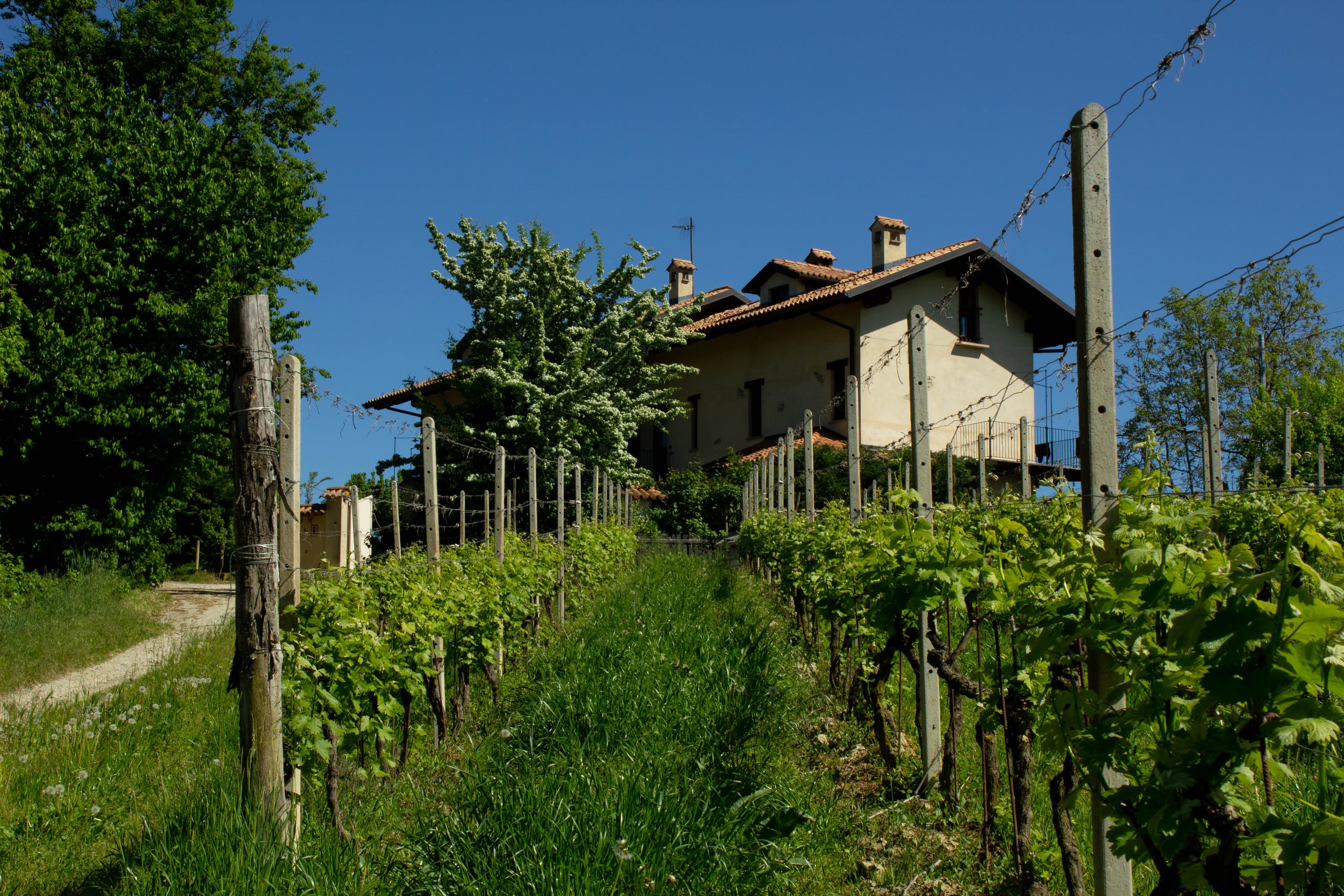 Gallery image 22
