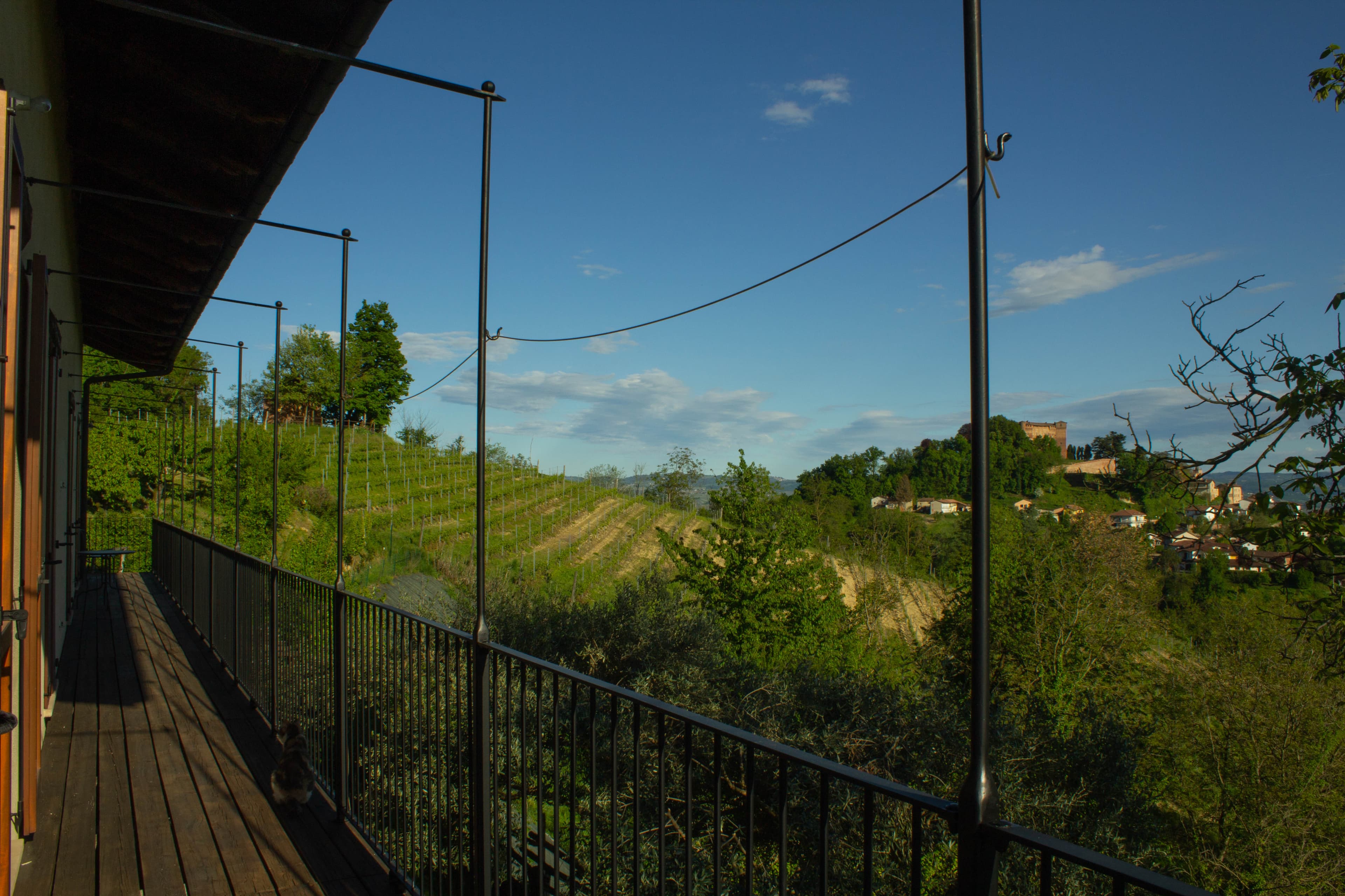 Gallery image 30